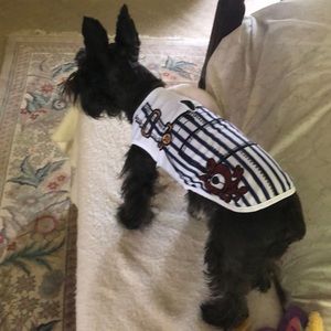 Navy Blue striped Overalls lightweight polyester Dog shirt
